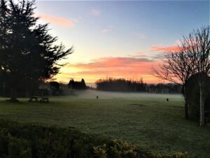 Mist on the field